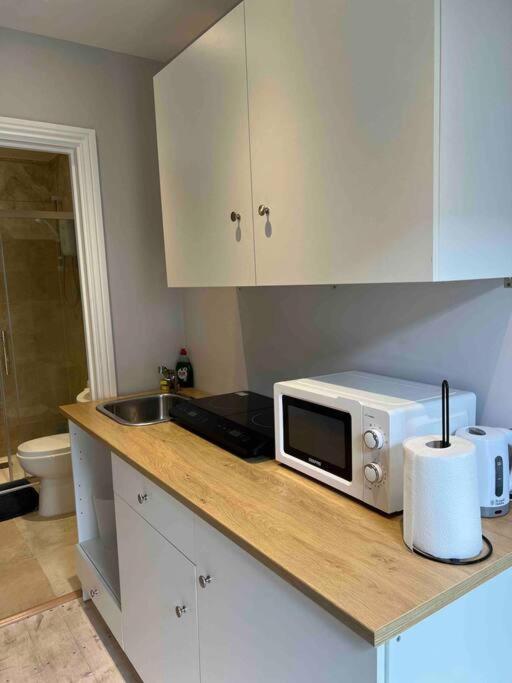 Newly Built Large Garden Ensuite Guest Studio Borehamwood Exterior foto