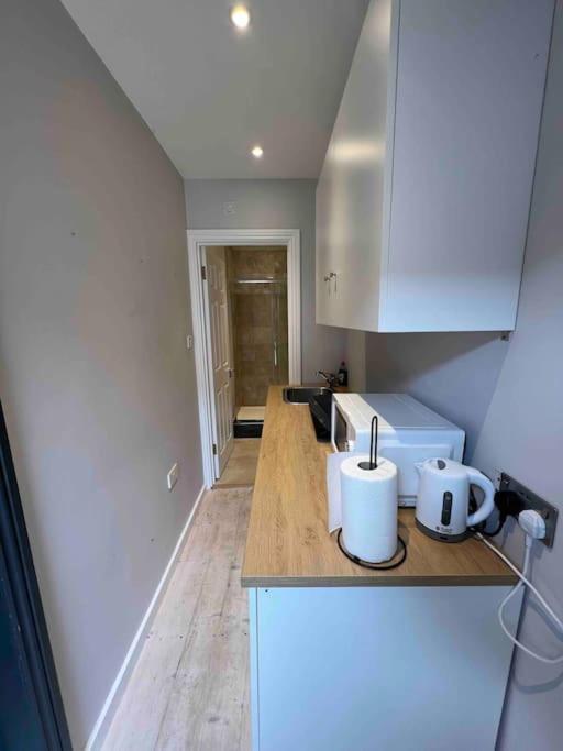 Newly Built Large Garden Ensuite Guest Studio Borehamwood Exterior foto