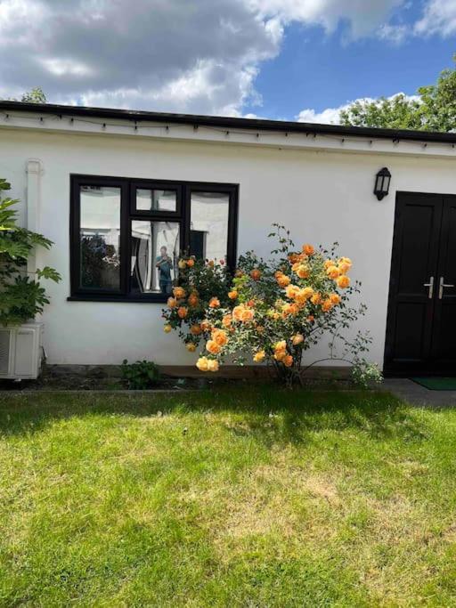 Newly Built Large Garden Ensuite Guest Studio Borehamwood Exterior foto